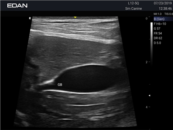 EDAN Acclarix AX3 VET