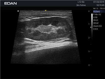 EDAN Acclarix AX3 VET